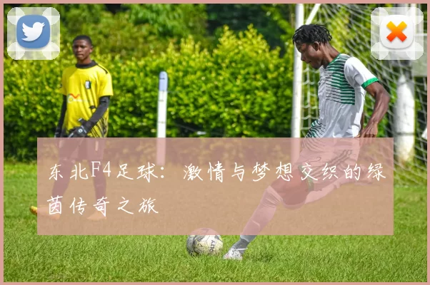 东北F4足球：激情与梦想交织的绿茵传奇之旅