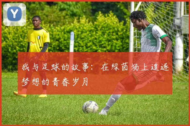 我与足球的故事：在绿茵场上追逐梦想的青春岁月