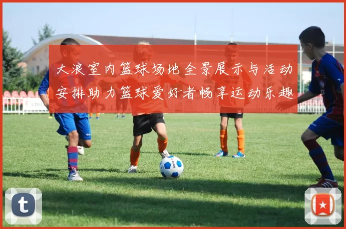 大浪室内篮球场地全景展示与活动安排助力篮球爱好者畅享运动乐趣
